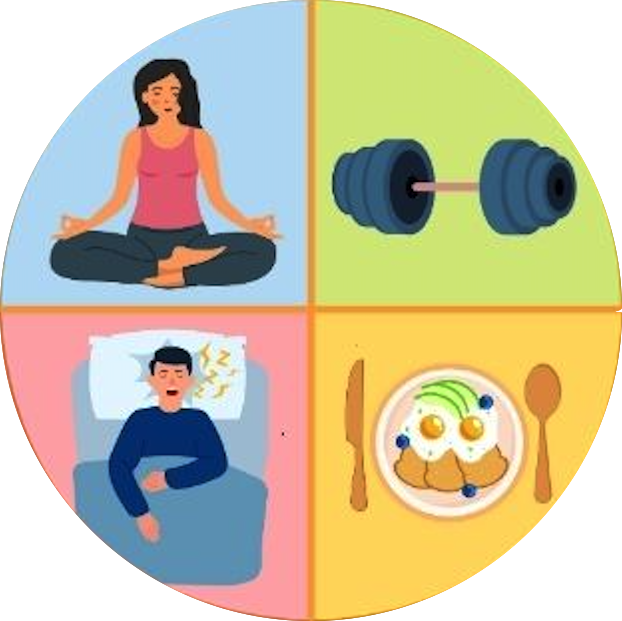 Your Wellness Persona